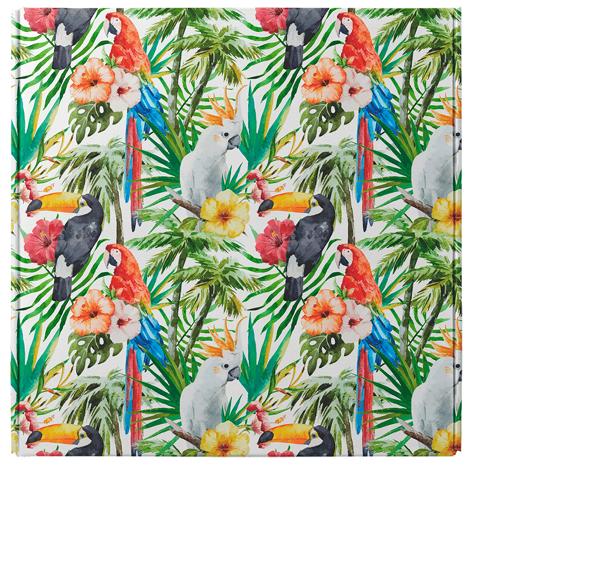 Green custom mailer box with trees and parrots