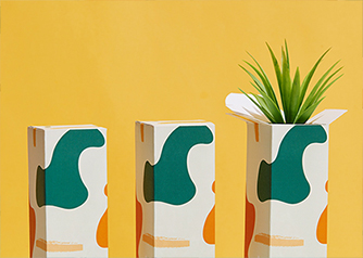 Folding box with plant inside