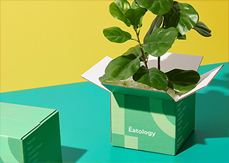 Sustainable Green Shipping Box